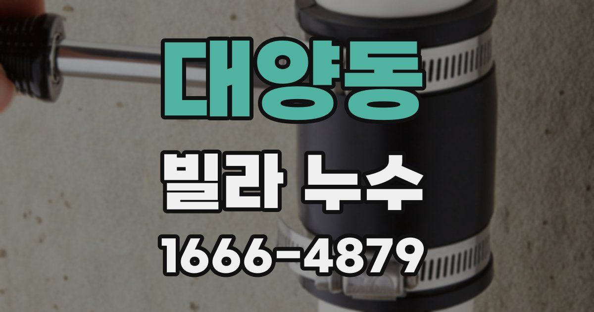 대양동 빌라 누수