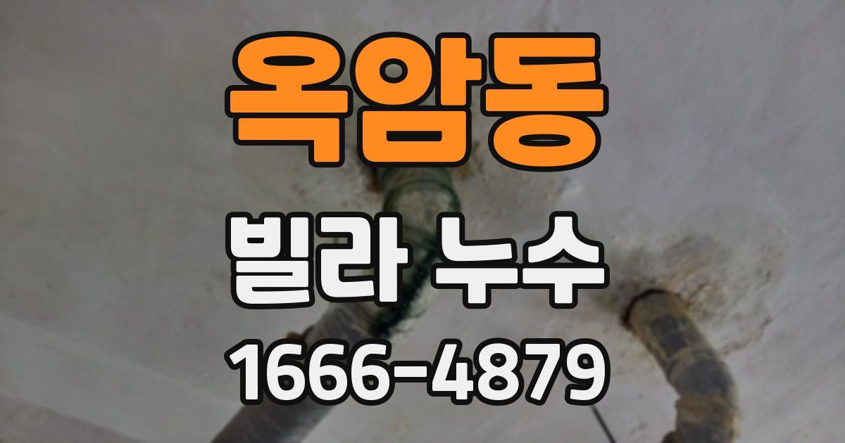 옥암동 빌라 누수
