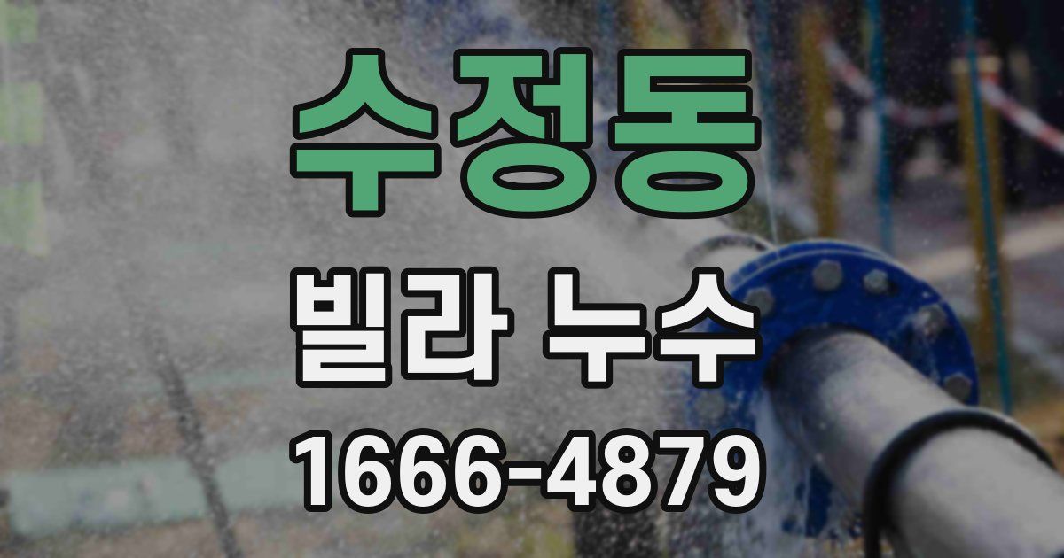수정동 빌라 누수