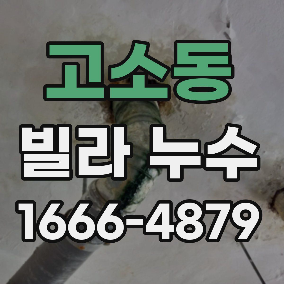 고소동 빌라 누수