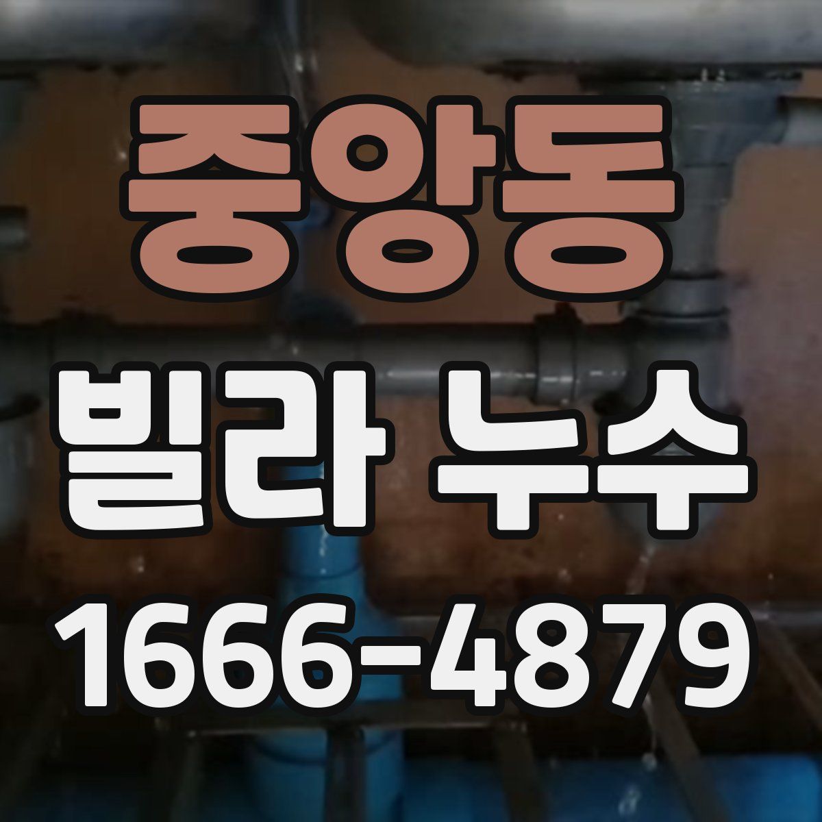 중앙동 빌라 누수