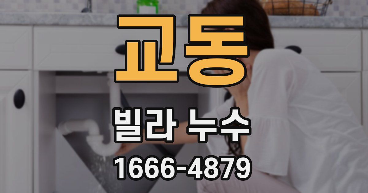 교동 빌라 누수