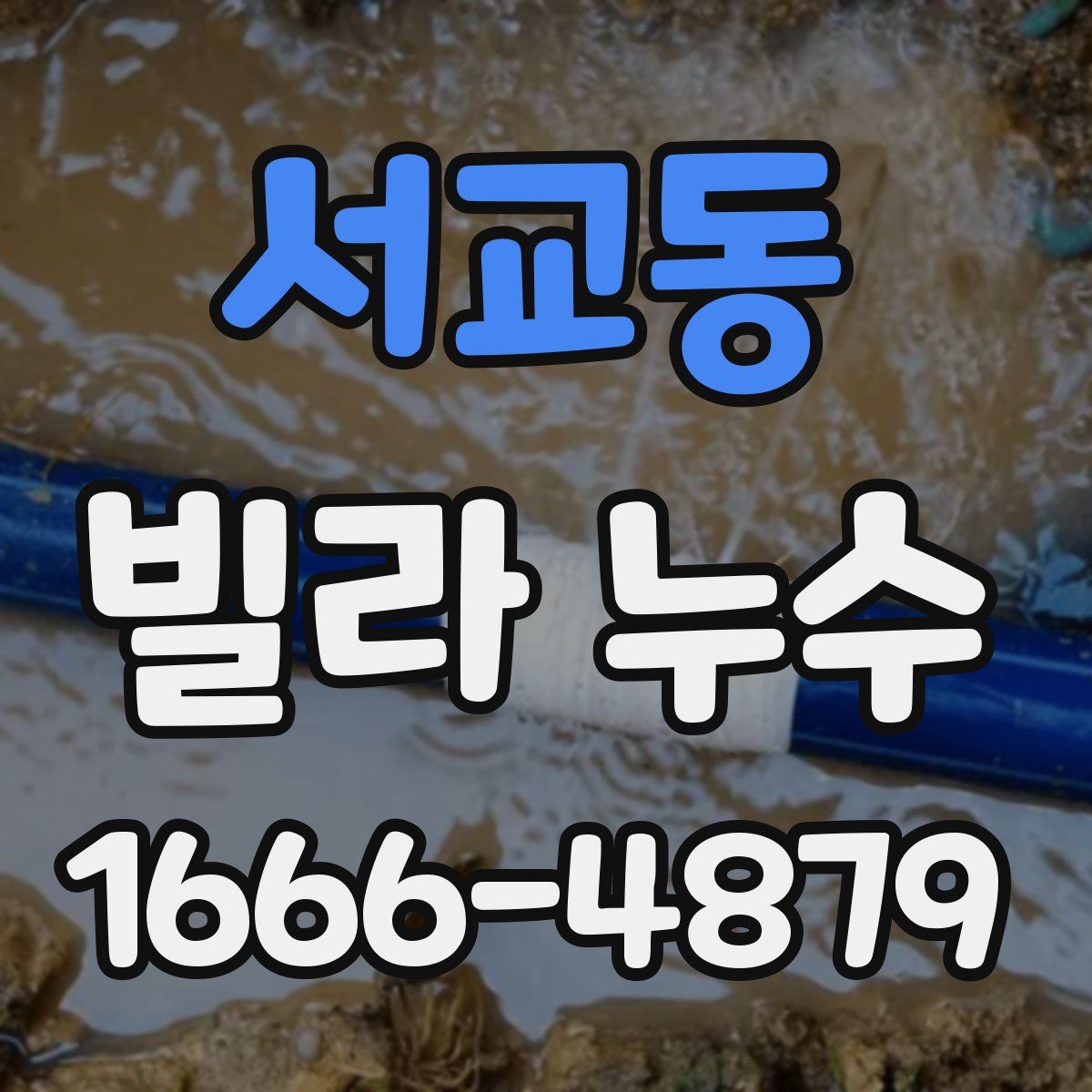 서교동 빌라 누수