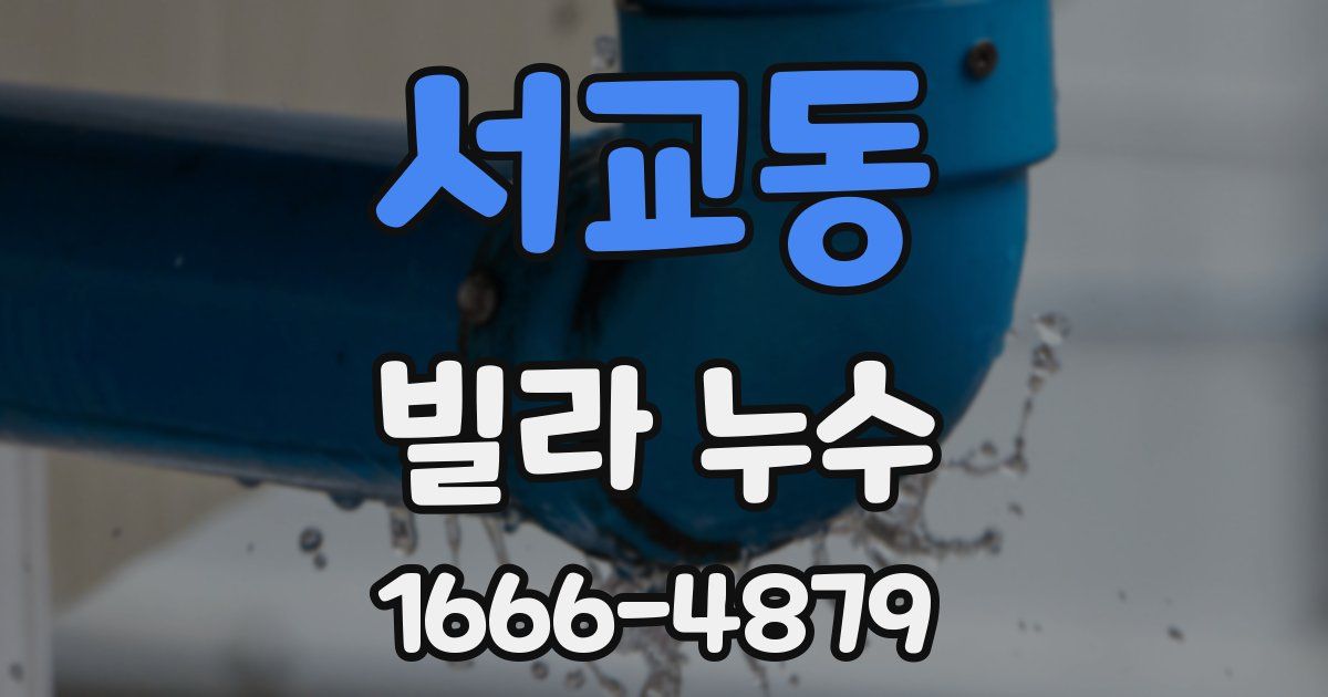 서교동 빌라 누수