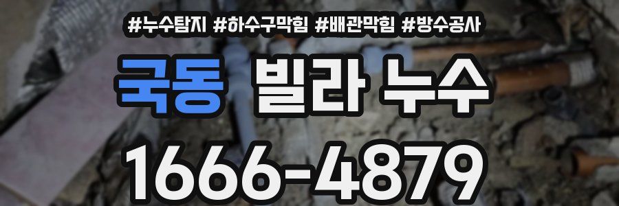 국동 빌라 누수