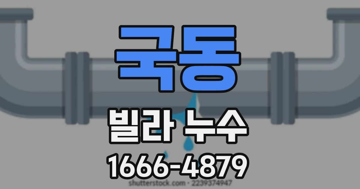 국동 빌라 누수