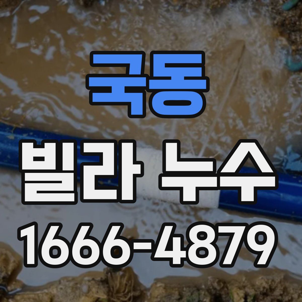 국동 빌라 누수