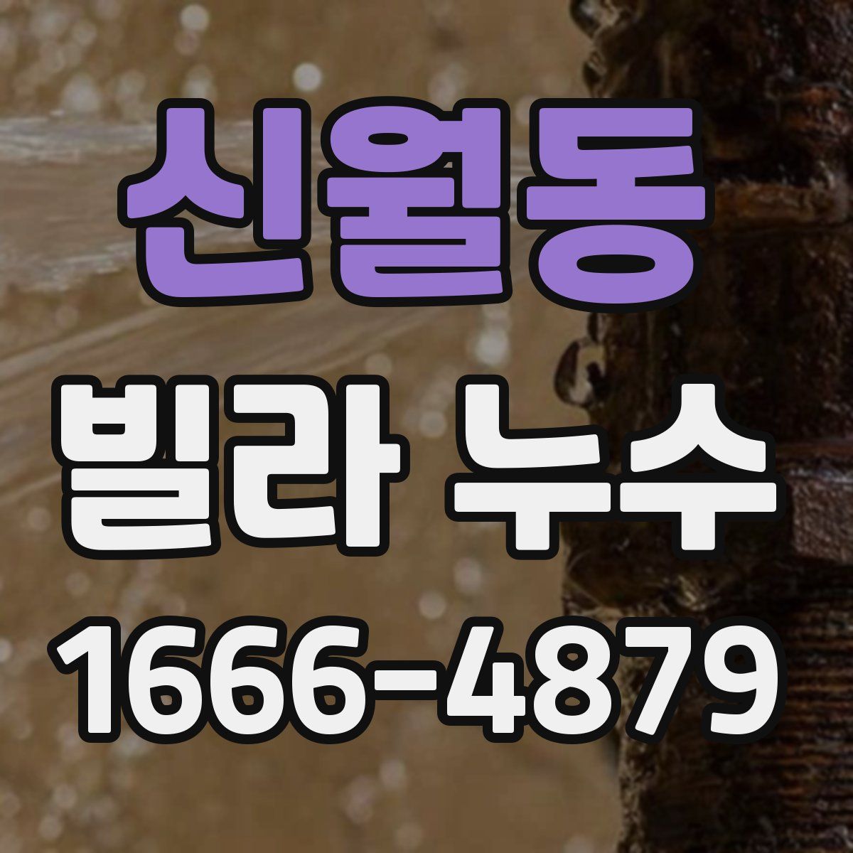 신월동 빌라 누수
