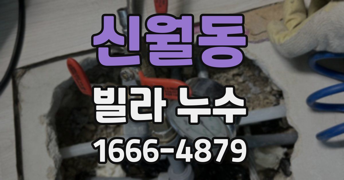 신월동 빌라 누수