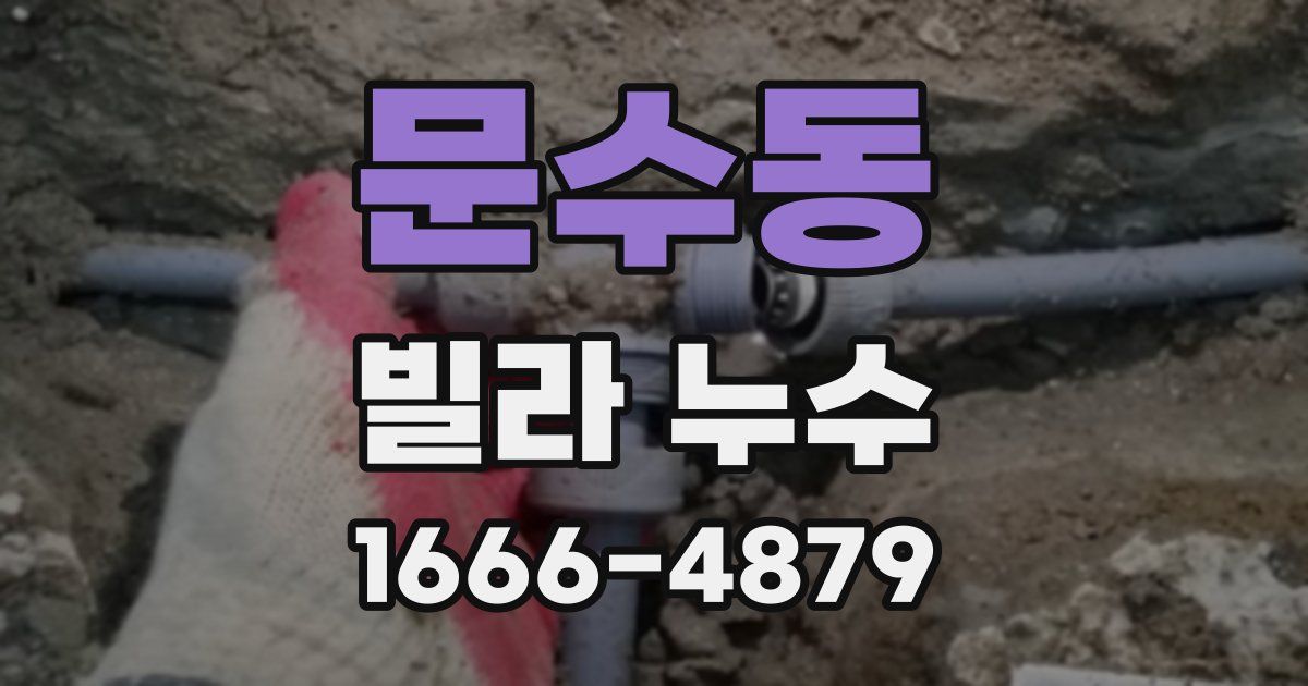 문수동 빌라 누수
