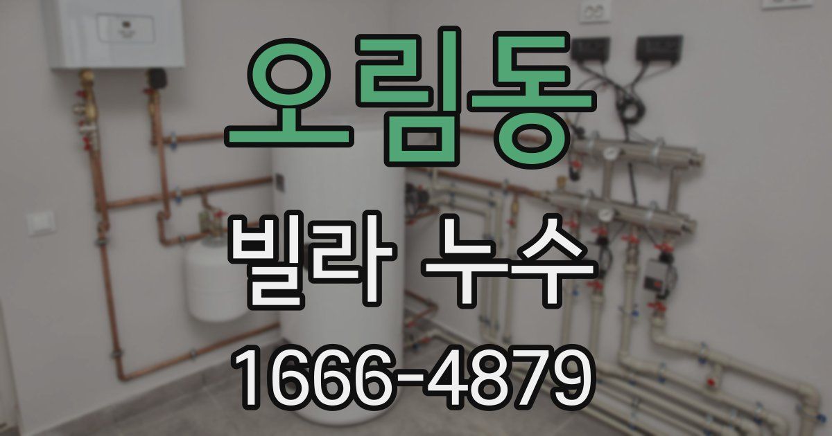 오림동 빌라 누수
