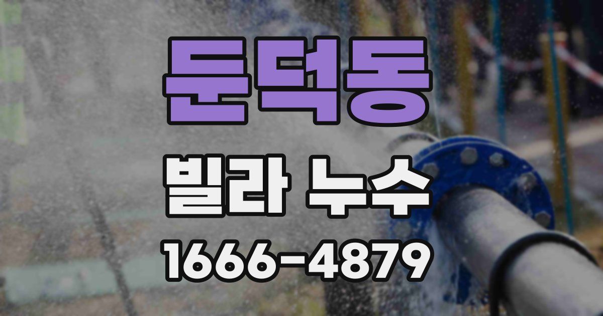 둔덕동 빌라 누수