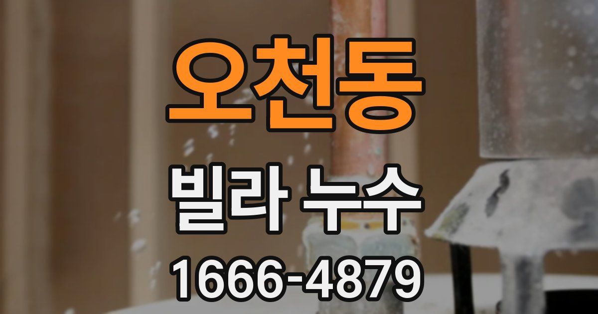 오천동 빌라 누수