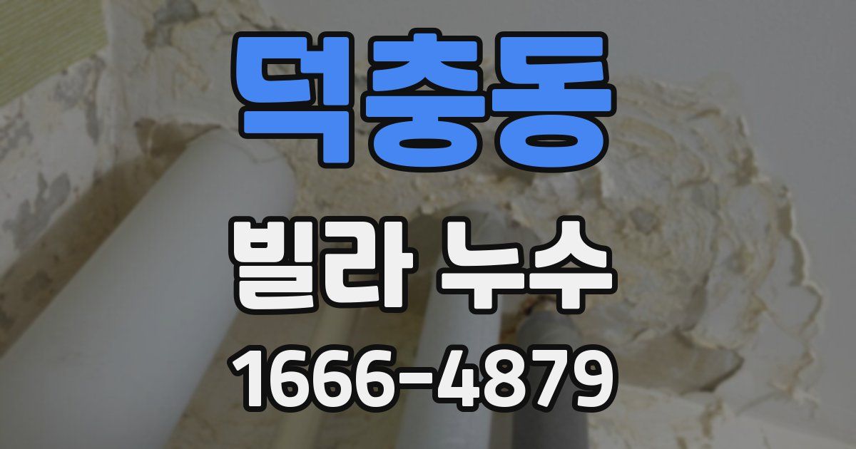 덕충동 빌라 누수