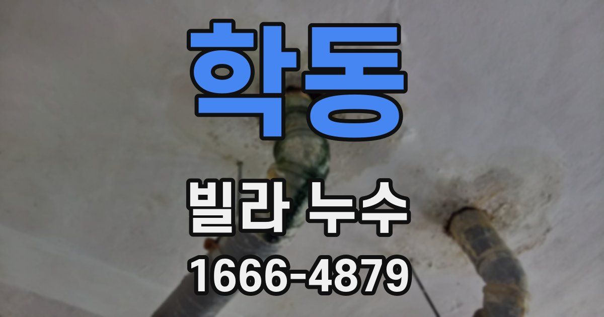 학동 빌라 누수