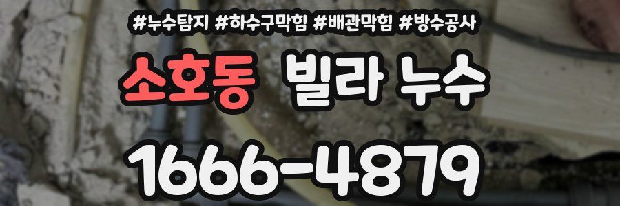 소호동 빌라 누수