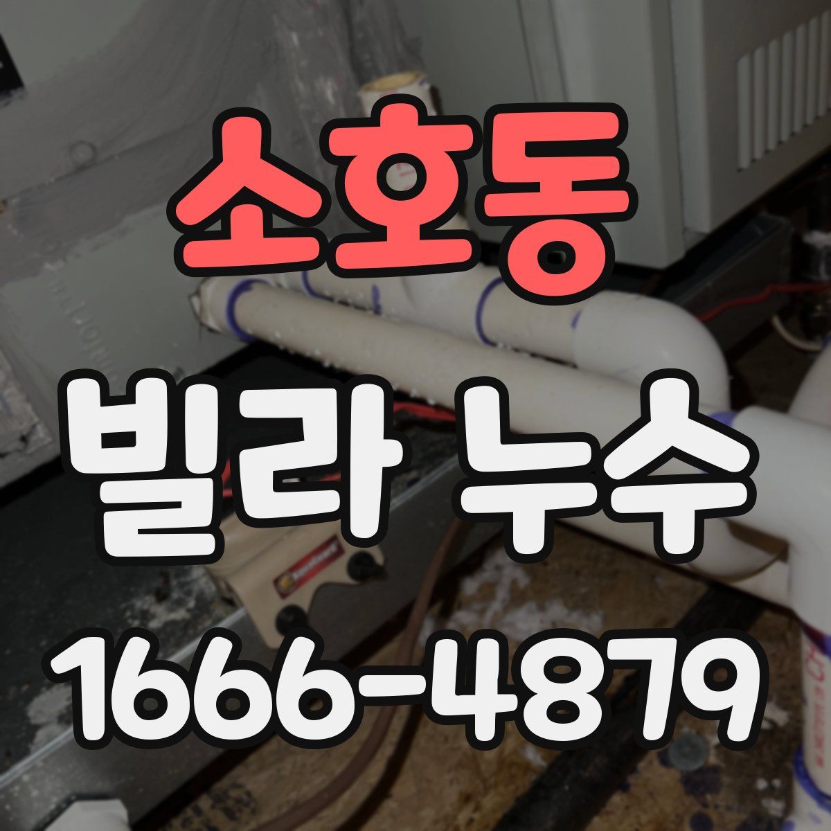 소호동 빌라 누수
