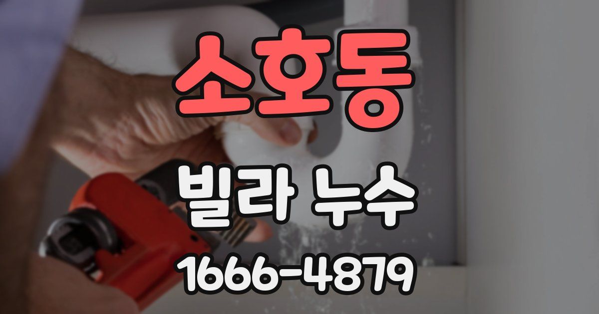 소호동 빌라 누수