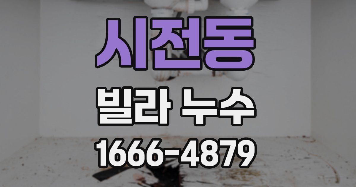 시전동 빌라 누수