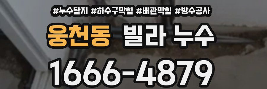 웅천동 빌라 누수