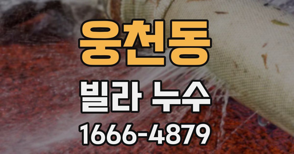 웅천동 빌라 누수