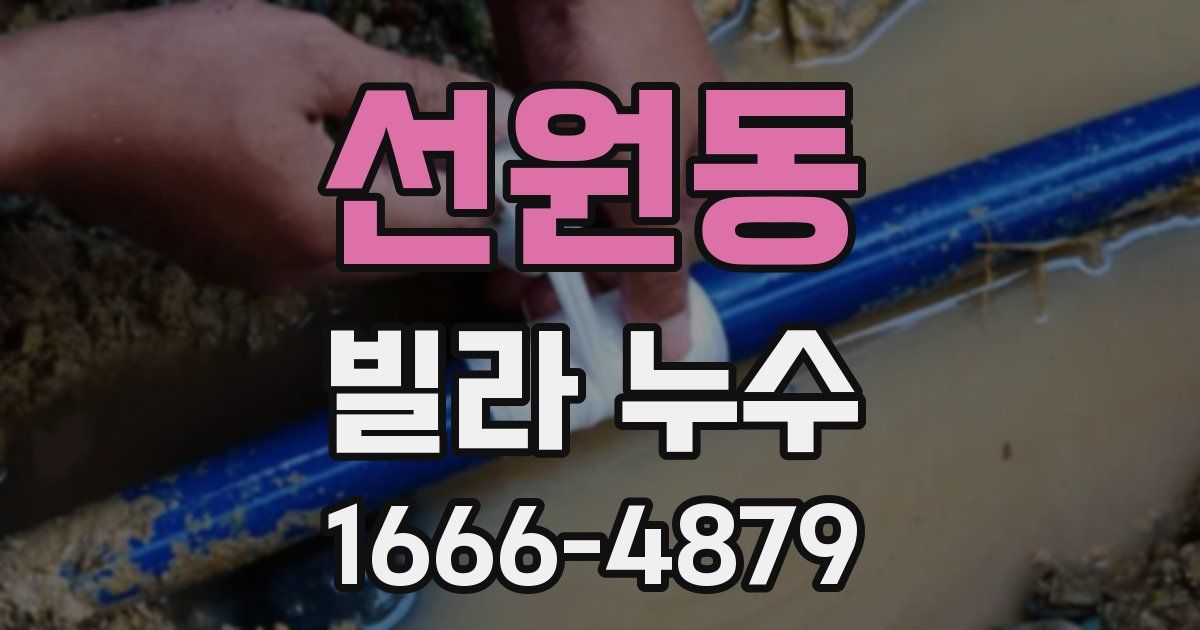 선원동 빌라 누수
