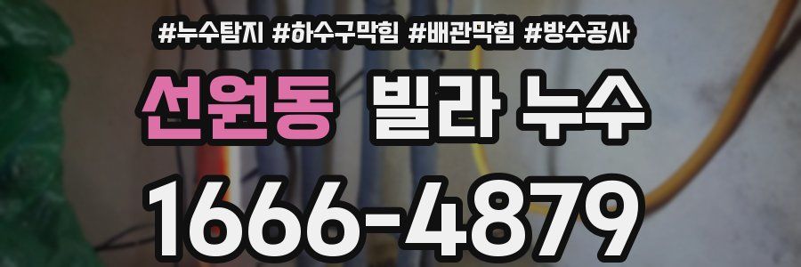 선원동 빌라 누수