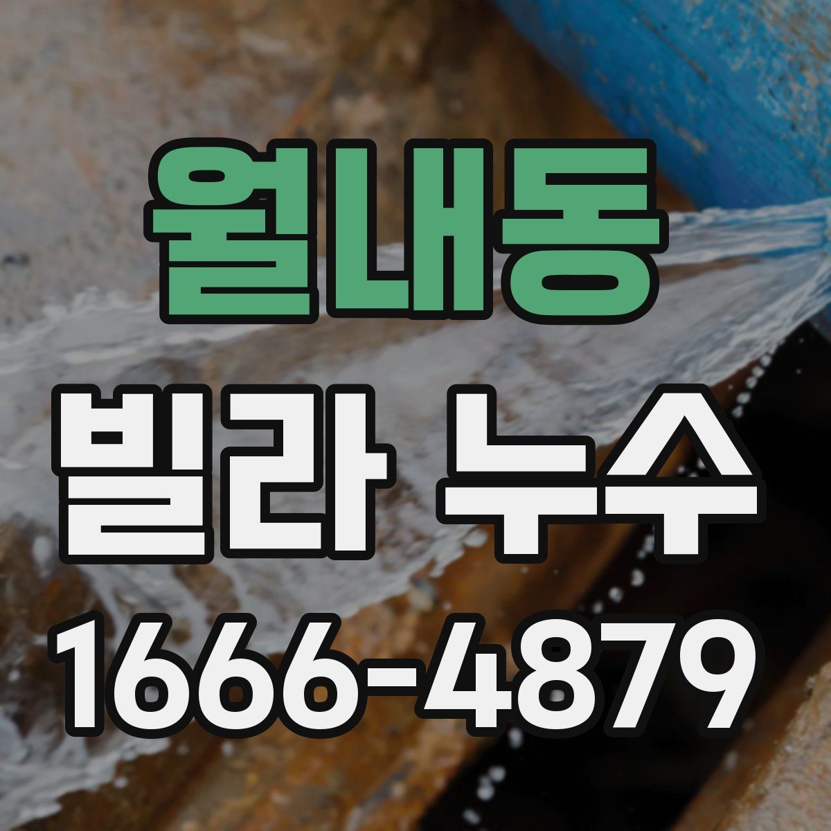 월내동 빌라 누수