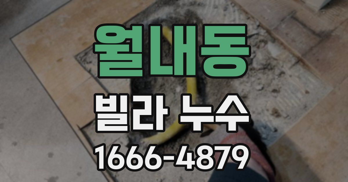 월내동 빌라 누수