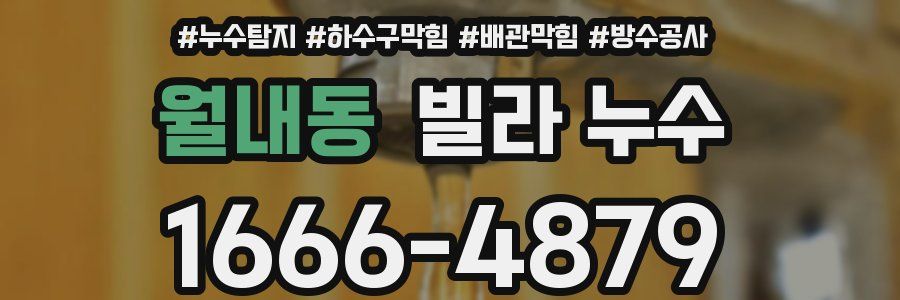 월내동 빌라 누수