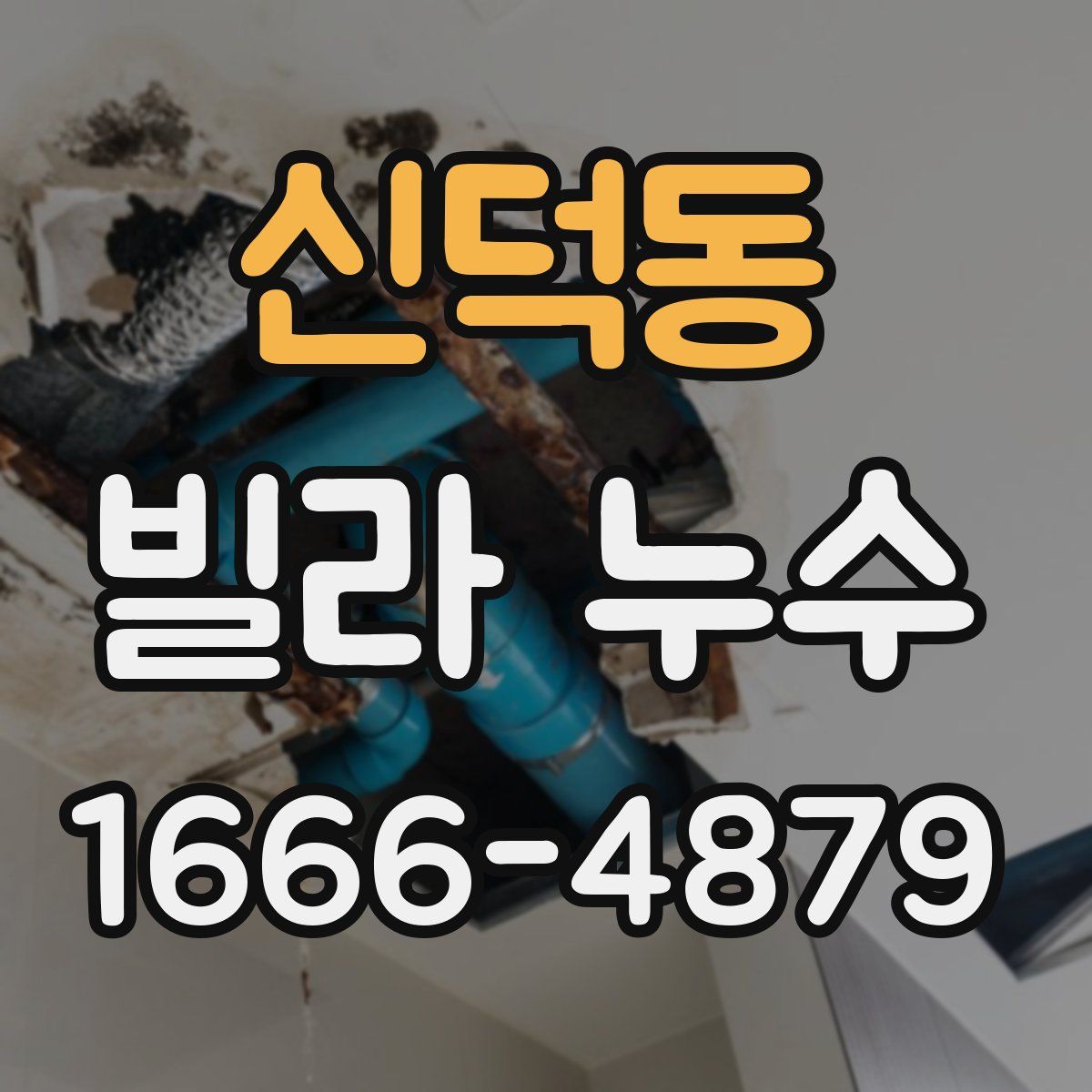 신덕동 빌라 누수