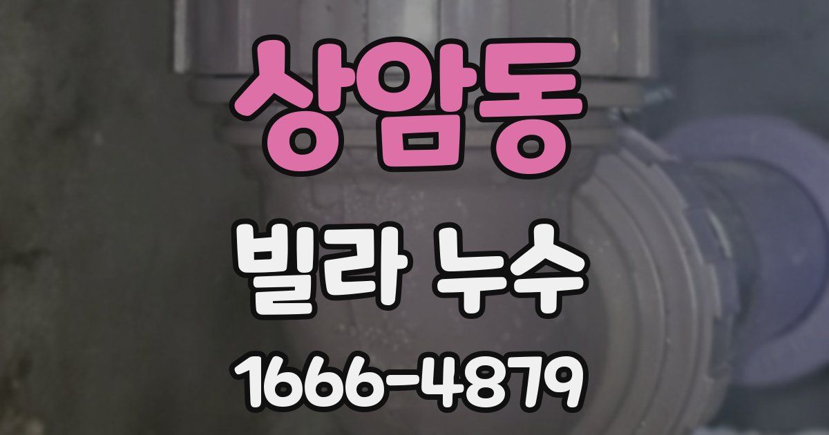 상암동 빌라 누수