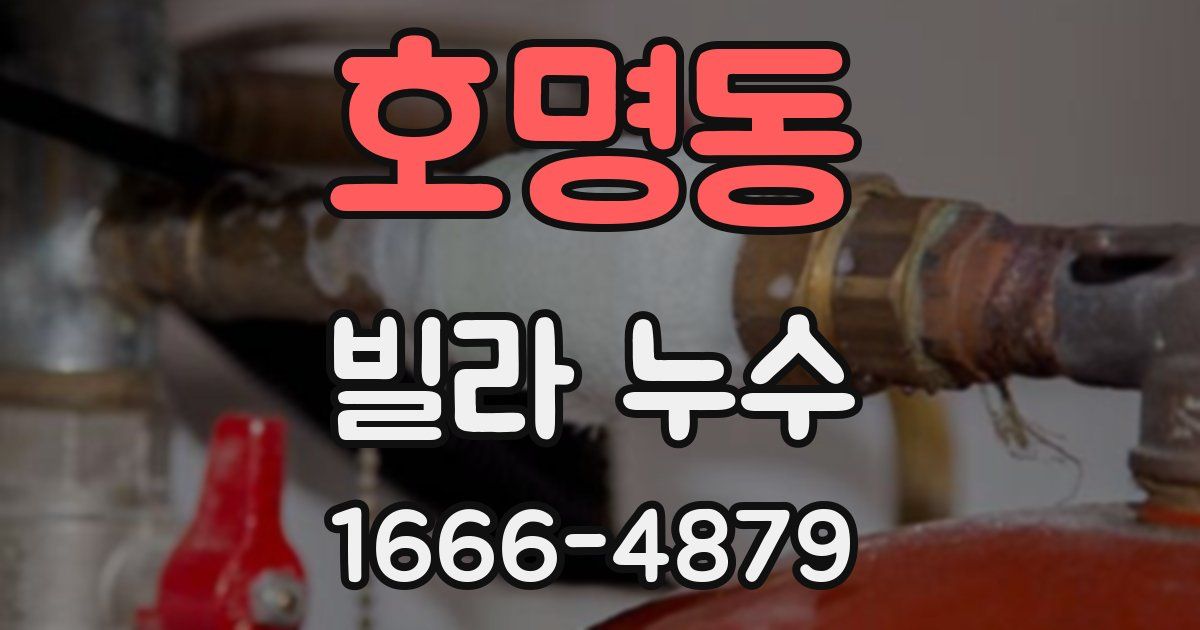 호명동 빌라 누수