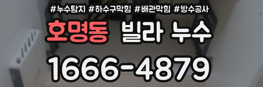 호명동 빌라 누수