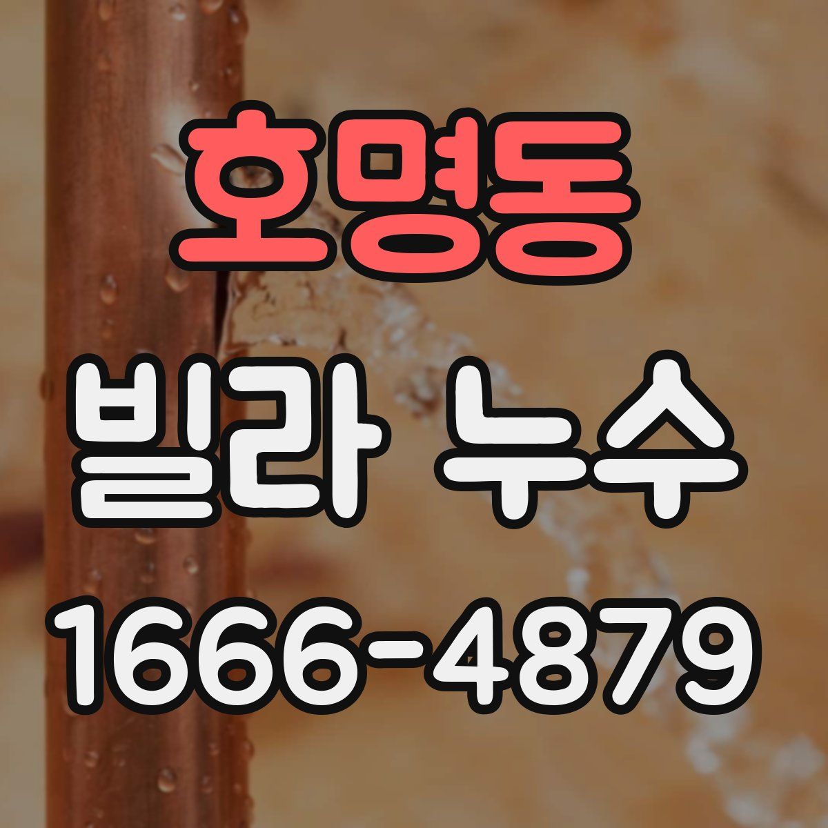 호명동 빌라 누수