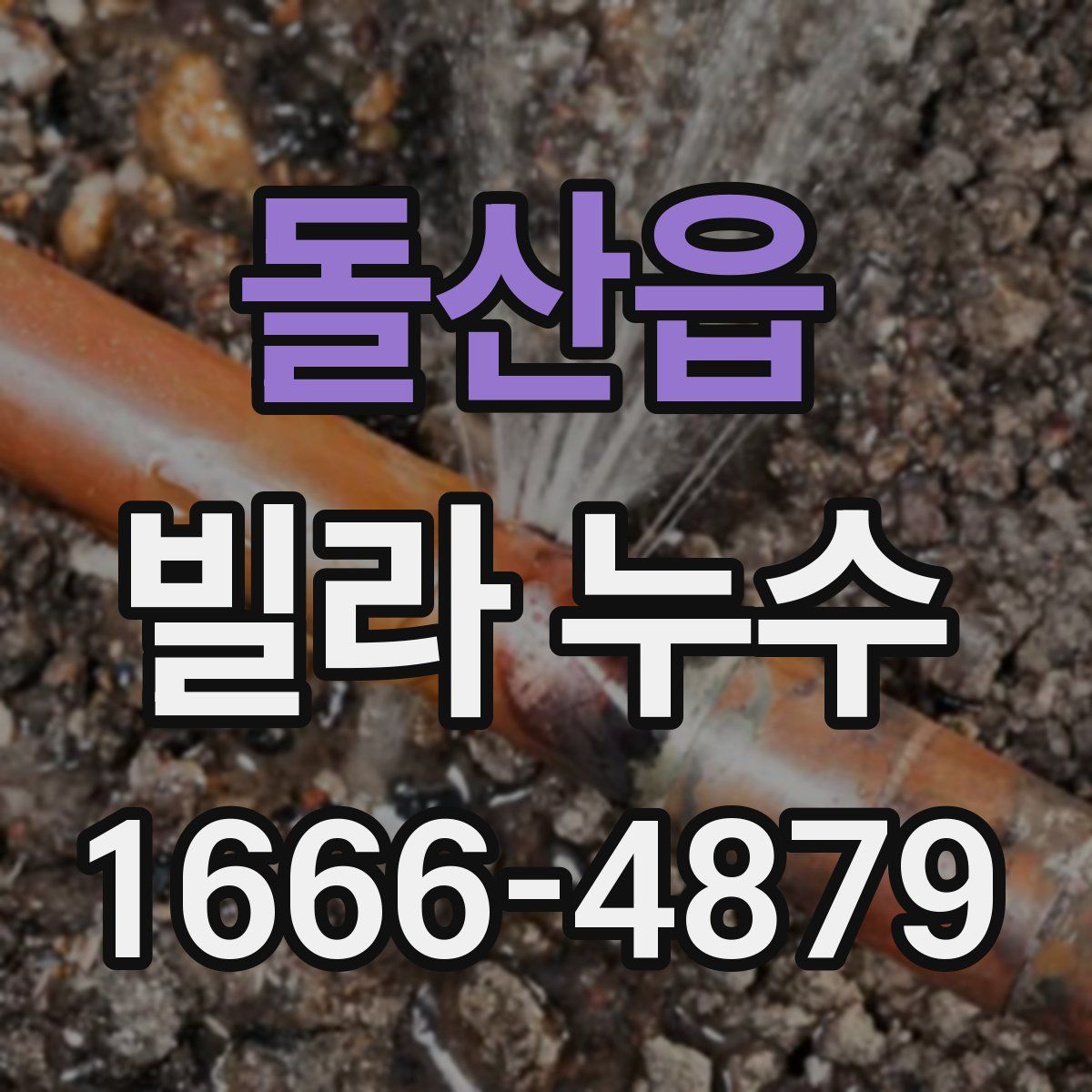 돌산읍 빌라 누수