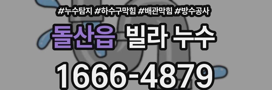 돌산읍 빌라 누수