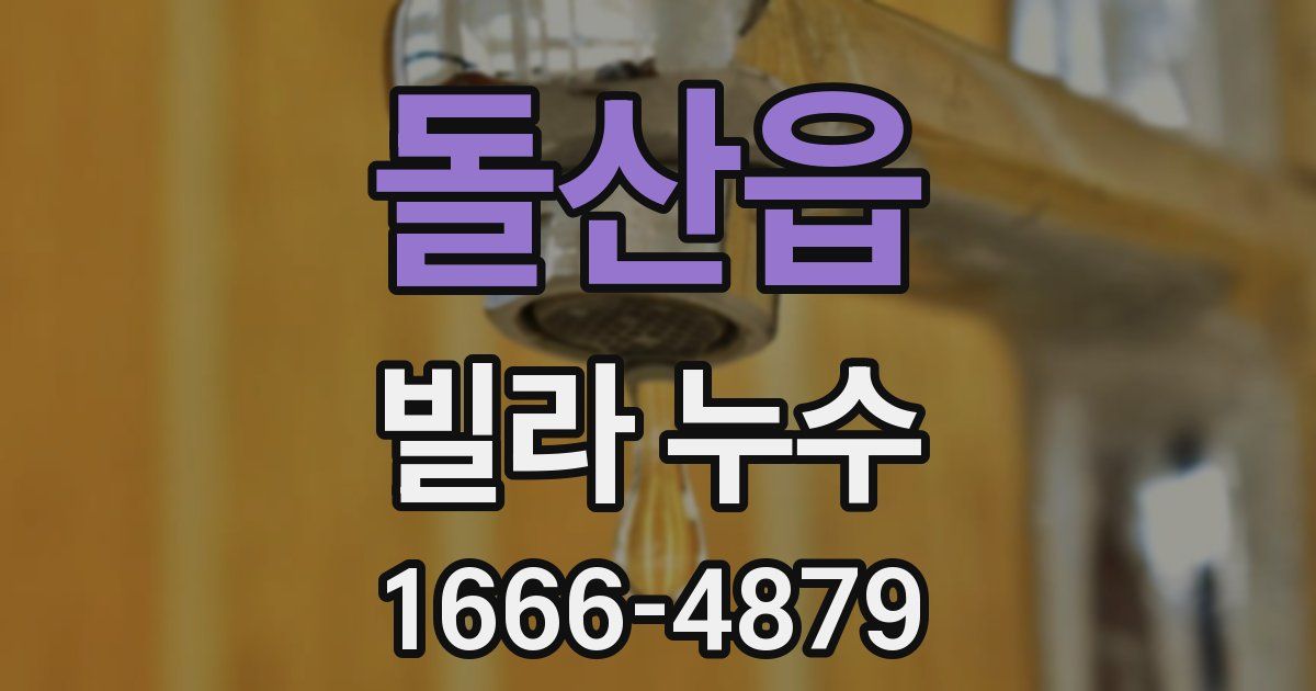 돌산읍 빌라 누수
