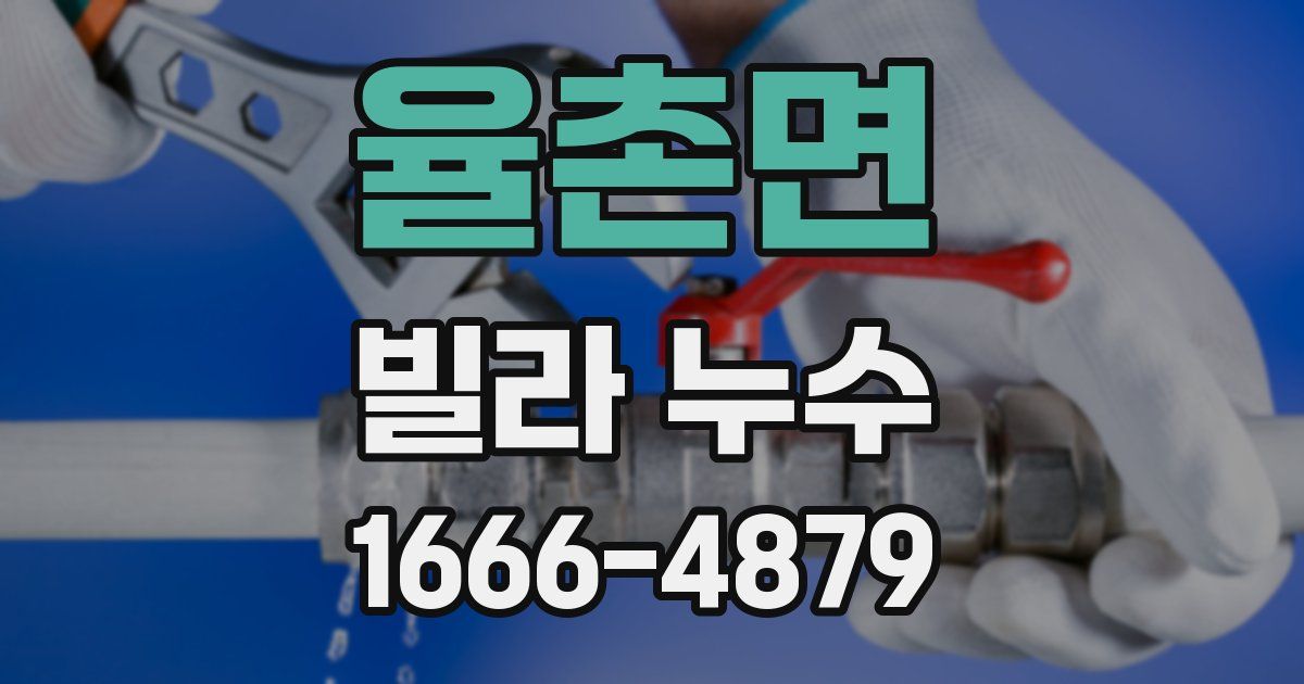 율촌면 빌라 누수