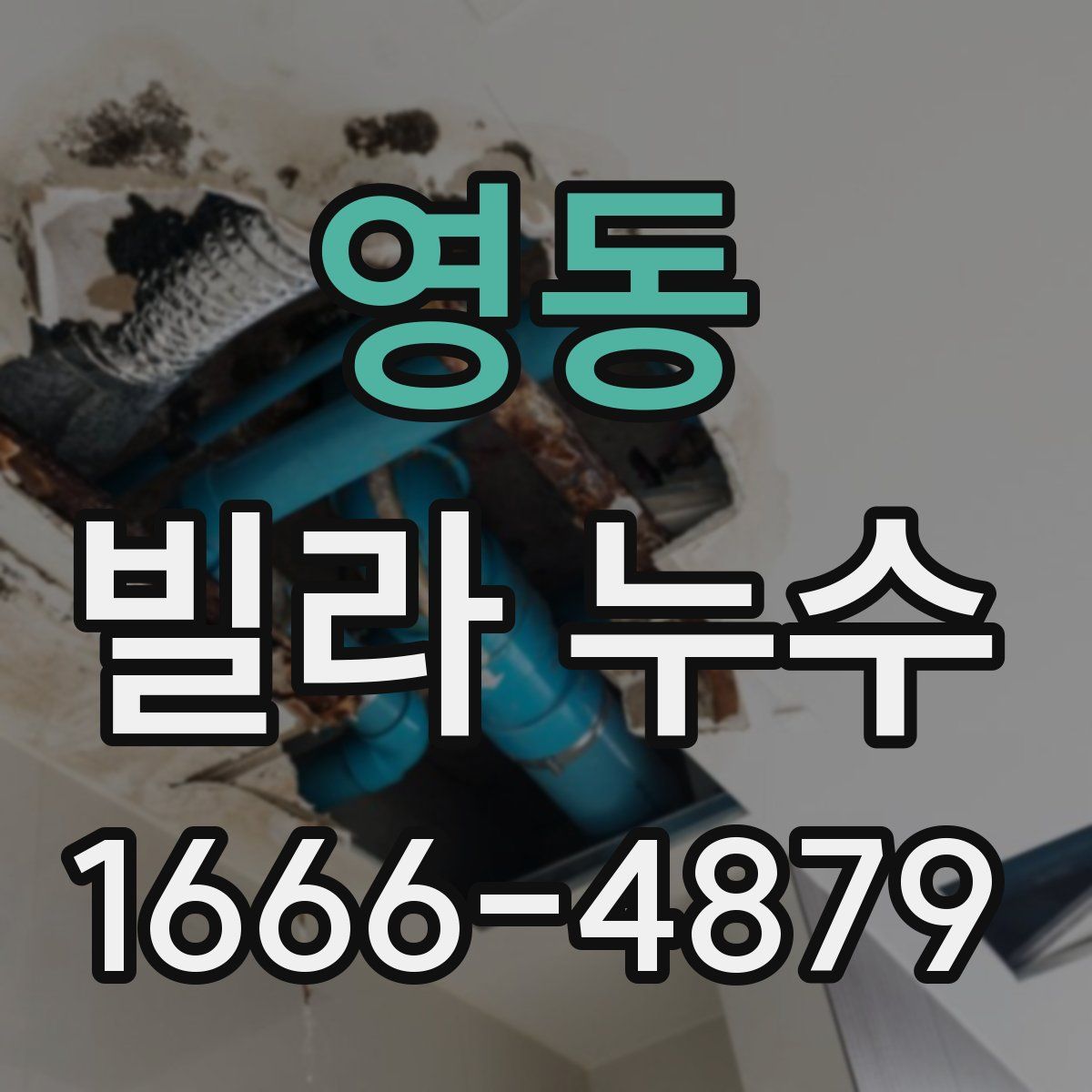 영동 빌라 누수