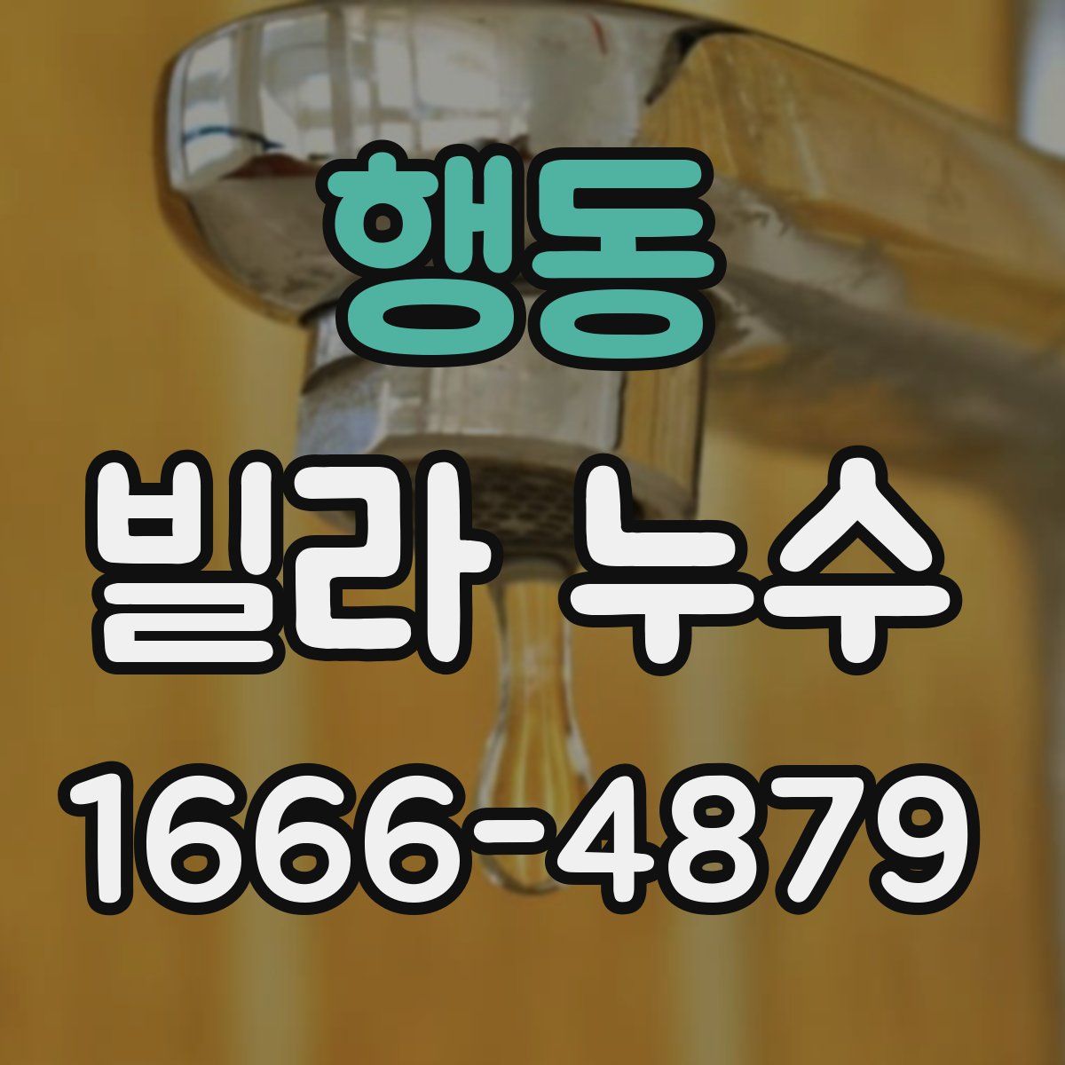 행동 빌라 누수