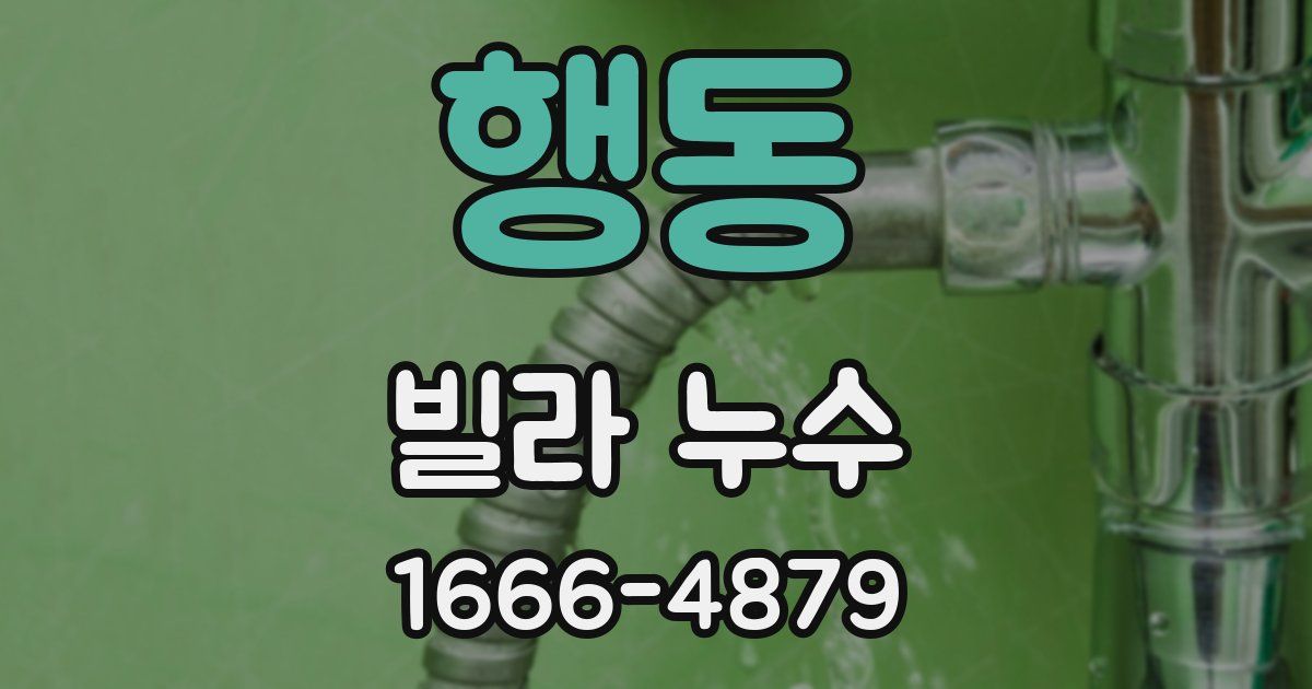 행동 빌라 누수