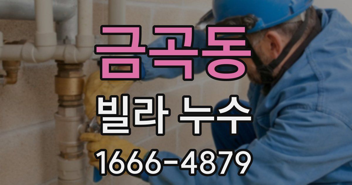 금곡동 빌라 누수