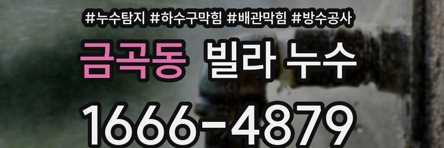 금곡동 빌라 누수