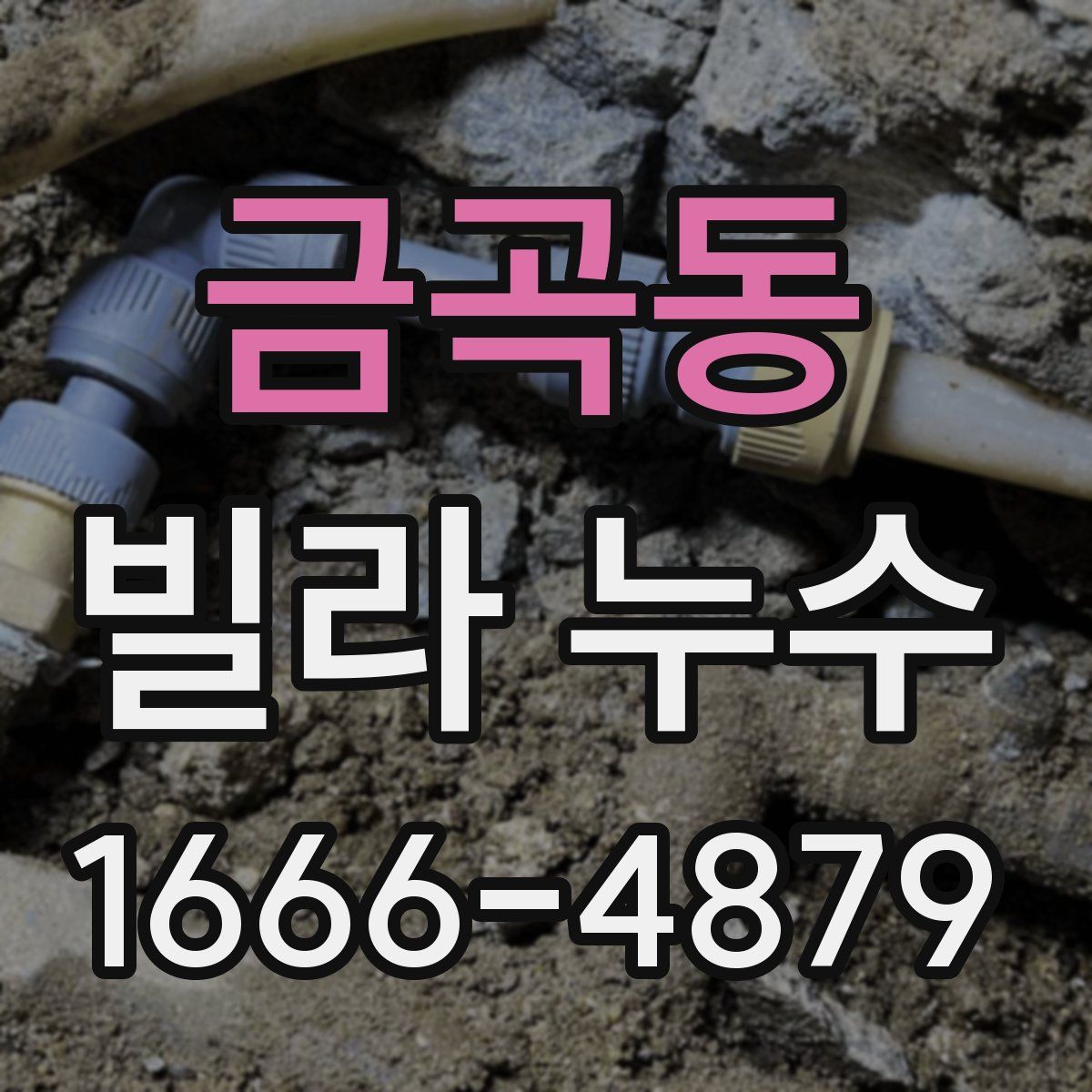 금곡동 빌라 누수