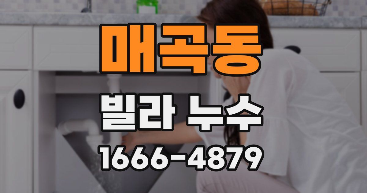 매곡동 빌라 누수