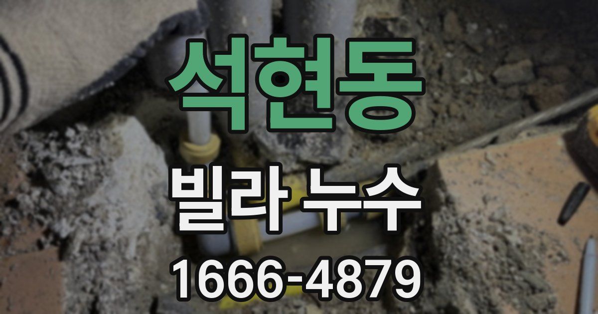 석현동 빌라 누수