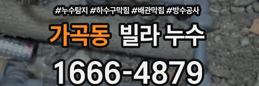 가곡동 빌라 누수