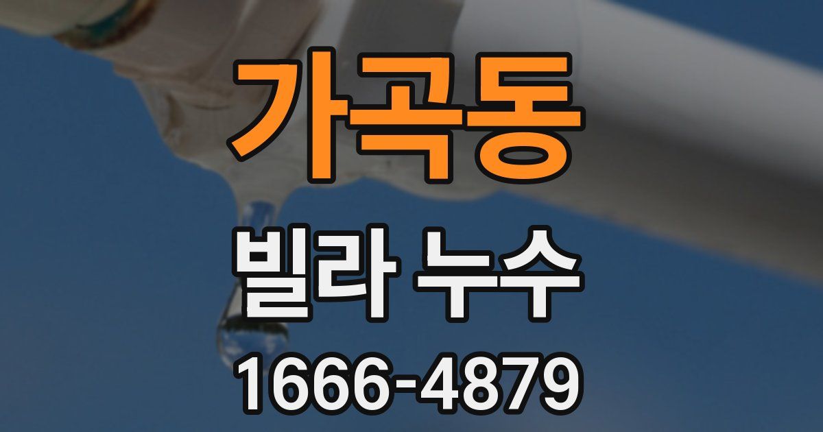 가곡동 빌라 누수
