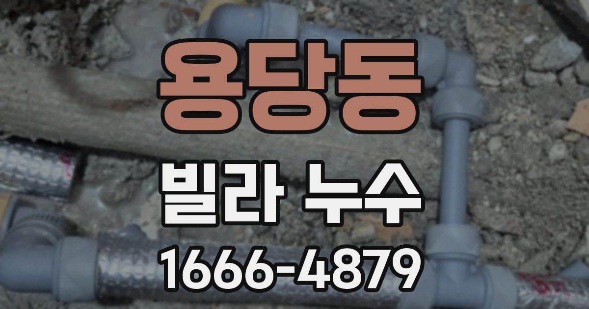 용당동 빌라 누수